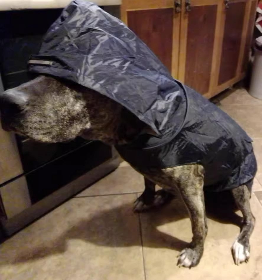 Large Waterproof Dog Raincoat for Outdoor Use