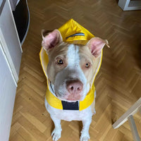 Large Waterproof Dog Raincoat for Outdoor Use